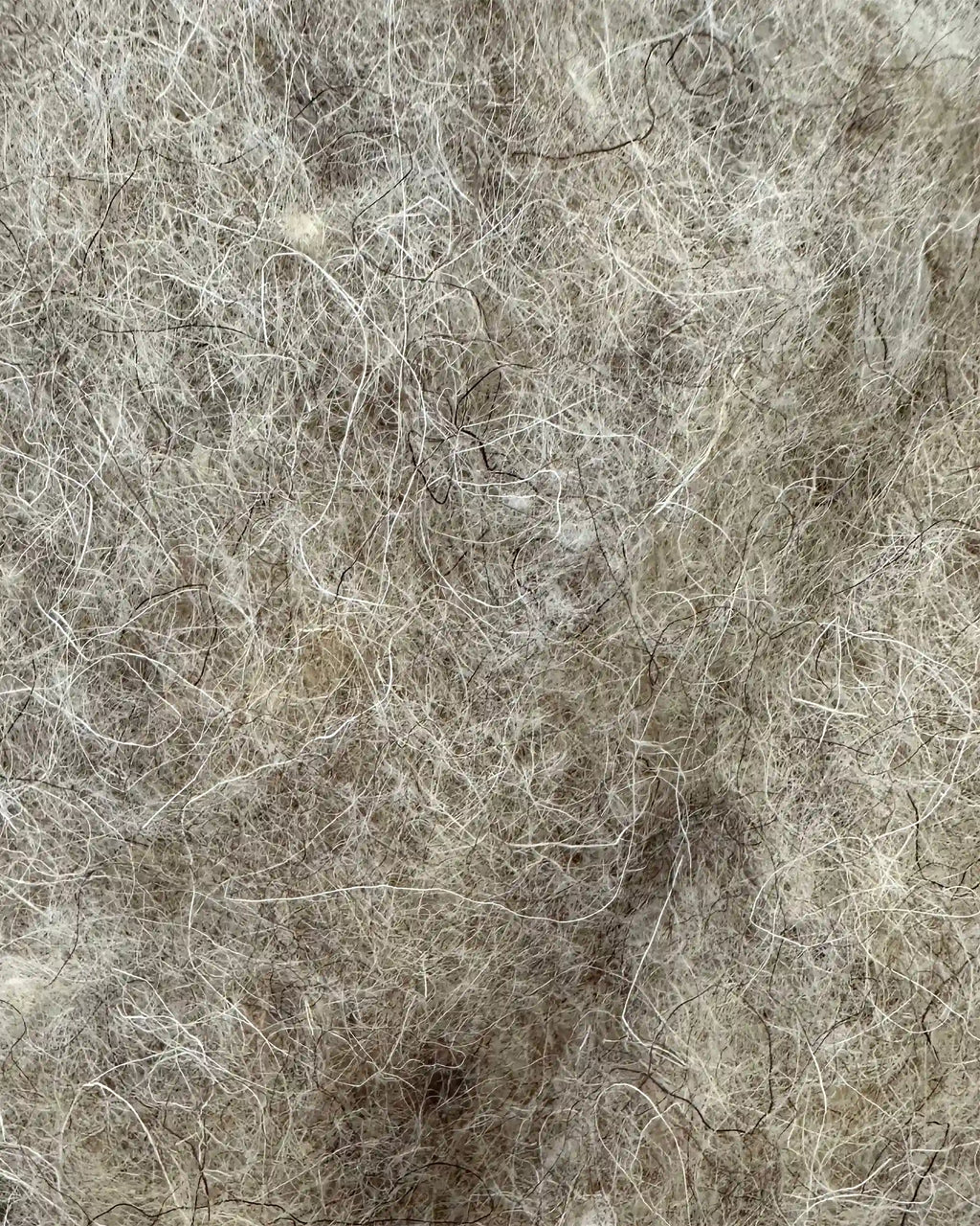 Byeco Standard ++ | Optimal