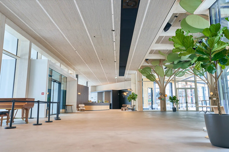 Fårullsisolering i entreväggar - ett ekologiskt isoleringsmaterial från Byeco